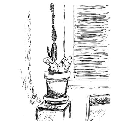 A drawing of a tall cactus on a stand.