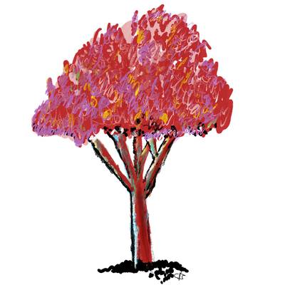 A sketch of a bright red tree.