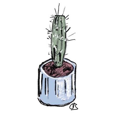 A sketch of a cactus in a pot.