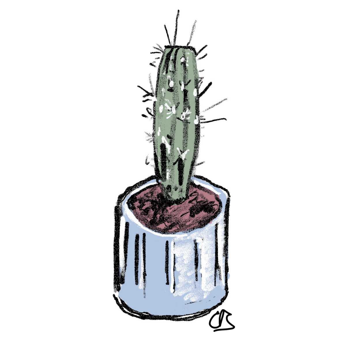 A sketch of a cactus in a pot.